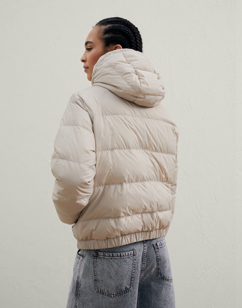 Down Jackets